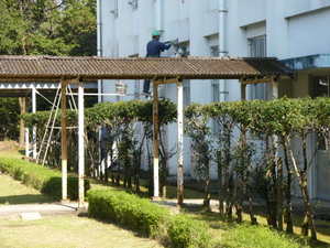P1050685